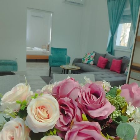 Apartman Radovic Smederevo Luaran gambar